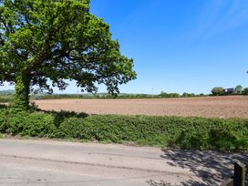 A view of a field with a tree and roadside at Rosemarie Annexe in Axminster