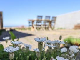 White flowers in a garden with a wooden table and chairs in the background at Glan Y Mor Borth in Borth