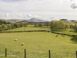 A landscape with sheep grazing and trees at Cyffdy Cottage - Arenig Bala