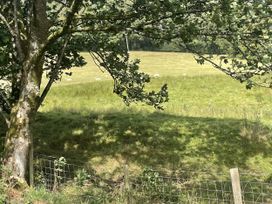 A view of sheep grazing in a field with a tree and fence at 1 Bryn Ysgol in Ysbyty Ifan near Betws-Y-Coed