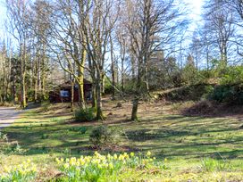 A garden with daffodils and trees with a wooden cabin in the background at Esk Lodge Salen Isle Of Mull