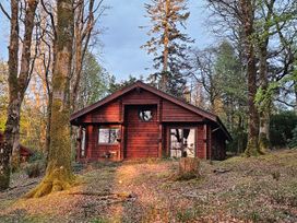 A wooden cabin surrounded by trees in a forest at Esk Lodge Salen Isle Of Mull