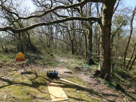 Drackenorth - Dorset - 1173576 - thumbnail photo 74