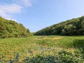 A pond with lily pads surrounded by trees under a blue sky at Anchor Light Castlemartin near Pembroke