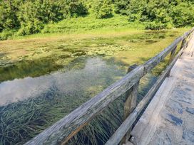 A wooden bridge over a pond with aquatic plants and trees surrounding it at Anchor Light in Castlemartin near Pembroke