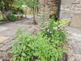 An herb garden with various plants at Whinstone Cottage Esk Valley near Grosmont