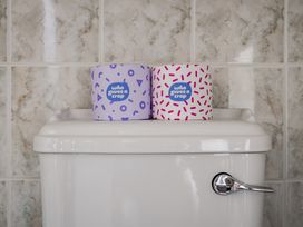 Toilet with two rolls of toilet paper at Cove Cottage Llangrannog