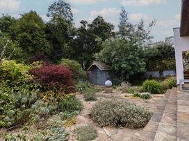 A garden with a shed and various plants at The Well House in Lyme Regis
