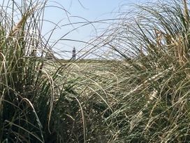 A view of a lighthouse through tall grass at Seadrift near Stalham