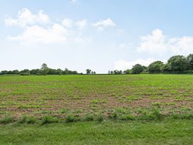 A field with young crops and trees in the background at Willow in Wood Norton near Foulsham