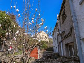 A flowering tree with white and pink blossoms in a yard next to a stone wall and houses with a clear blue sky at 4 Bay View Terrace in Llandudno