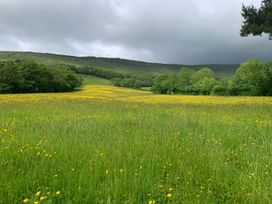 A field with yellow flowers and green grass with trees and hills in the background at White Haywood Farmhouse & Barn in Craswall