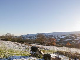 A snowy rural landscape with logs on the ground and leafless trees in the distance at White Haywood Farmhouse & Barn in Craswall