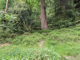 A natural area with trees and grass at Tryfan Cottage in Nant Gwynant