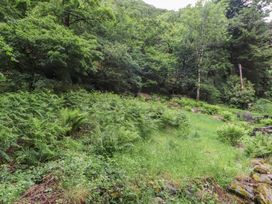 A garden area with ferns and grass at Tryfan Cottage in Nant Gwynant