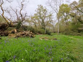 Oak Shepherd Hut - Dorset - 1174124 - thumbnail photo 30