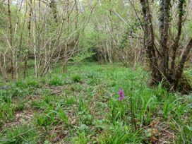 Oak Shepherd Hut - Dorset - 1174124 - thumbnail photo 33