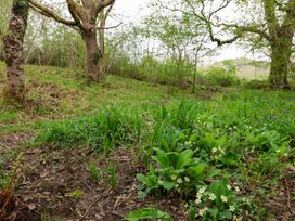 Oak Shepherd Hut - Dorset - 1174124 - thumbnail photo 34