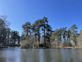 A pond surrounded by trees at Woodburn Lodge Otterburn