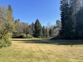 A garden with grass and trees at Woodburn Lodge Otterburn