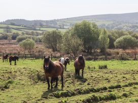A field with horses standing on grass and hills in the background at Puddaven Barn in North Bovey near Chagford