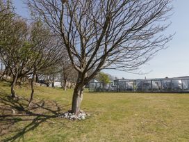 A grassy outdoor area with leafless trees and glass dome structures at Number 2 Dome in Derrybeg County Donegal