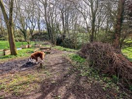 A garden with a dog and compost bins at Yew Tree Cottage Mealsgate near Ireby