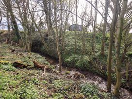 A view of a stream surrounded by trees and grass at Yew Tree Cottage, Mealsgate near Ireby