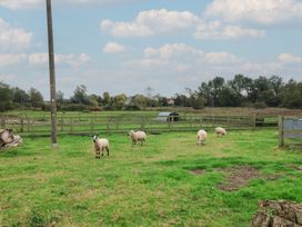 A field with sheep grazing at Molly (Cow Shed 6) Woodbridge