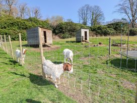 A fenced area with goats and wooden sheds at The Lodge in Bridgend