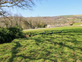 A grassy area with peacocks near a pathway at The Lodge in Bridgend