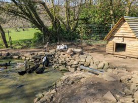 A duck pond with ducks and geese near a wooden duck house at The Lodge in Bridgend