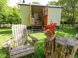 A wooden chair and a tree stump with a flowerpot in front of a small green structure with open doors in a garden at Sika in Warmwell