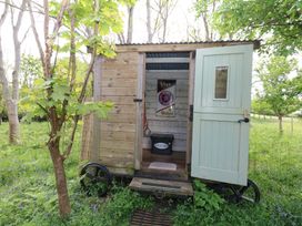 A small wooden shed with an open pale green door in a grassy wooded area at Fallow in Warmwell