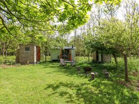A garden area with three small wooden huts chairs around a table and tree stumps arranged near a fire pit at Fallow in Warmwell