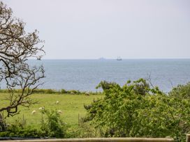 A grassy field with sheep and trees overlooking the sea with two ships in the distance at Moonlight in Ventnor