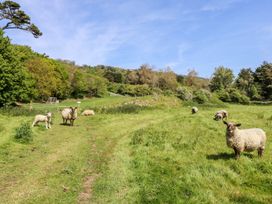 A grassy field with sheep and trees under a blue sky at Moonlight in Ventnor