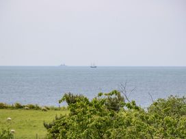 A field with sheep and trees near the sea with two ships on the horizon at Stardust in Ventnor