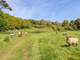 A grassy field with sheep and lambs and trees in the background at Stardust in Ventnor