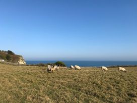 A grassy field with sheep grazing near a cliff and ocean at Stardust in Ventnor
