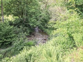 A stream surrounded by trees and ferns at Chapel Cottage in Ennerdale near Cleator Moor