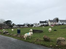 A field with sheep and a dog near houses at Kites - 52 Gower Holiday Village Scurlage near Port Eynon and Rhossili