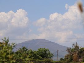 A view of a mountain with trees and power lines in the foreground at Killelton Cottage in Camp County Kerry