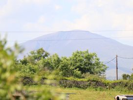 A rural landscape with green trees and grass with a mountain in the background and power lines
