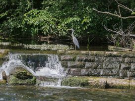 A bird standing near a water feature at Bungalow 19 Eamont Park in Penrith