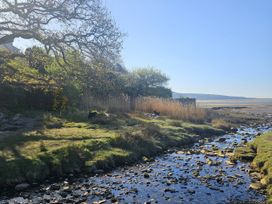 An outdoor view of a stream with reeds and trees at The Cottage On The Green in Borth-Y-Gest
