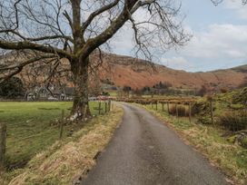 A road with a tree beside it at Deer How Farm Patterdale near Glenridding