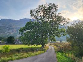 A tree by the road with mountains in the background at Deer How Farm Patterdale near Glenridding
