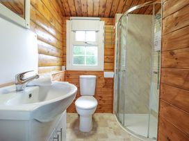 A bathroom with a sink, toilet, and shower at Y Bwthyn Pren, Cabin 209, Trawsfynydd