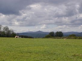 A green field with sheep lying down and trees in the distance under a cloudy sky at Twilight in Raglan